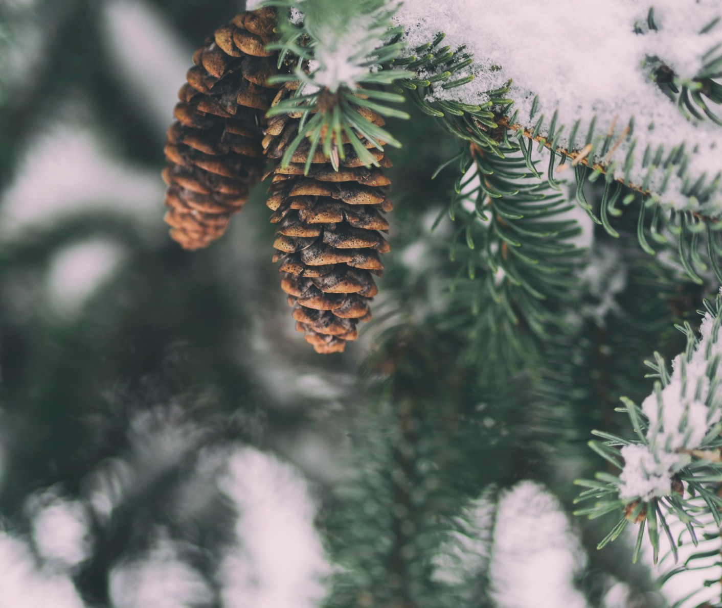 Winterliche Landschaft© Coen Weejes